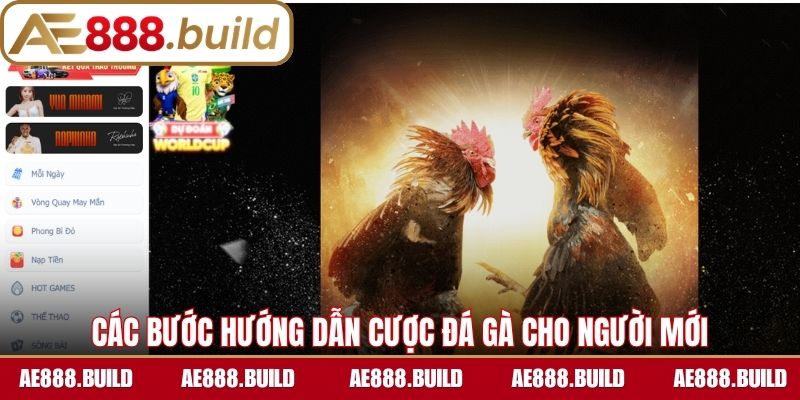 Chi tiết các bước hướng dẫn cược đá gà cho người mới