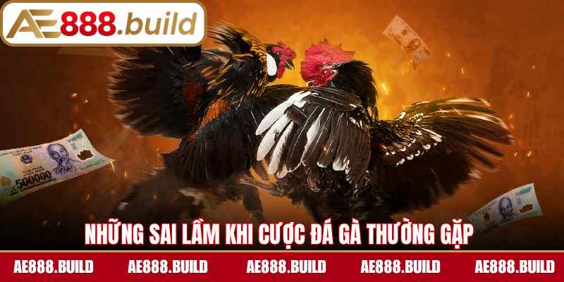Những sai lầm khi cược đá gà thường gặp